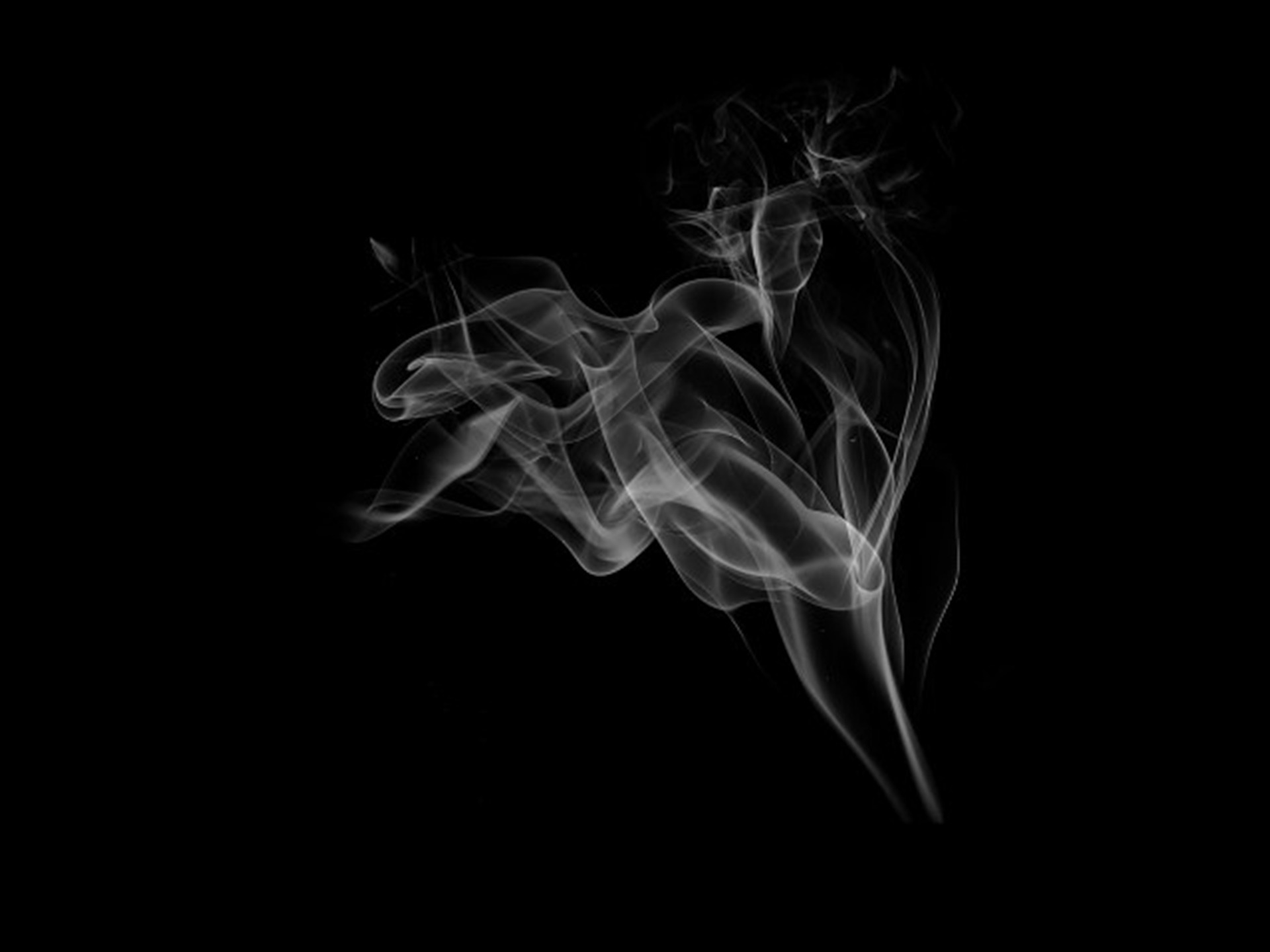 Легкие на черном фоне. Дым на черном фоне. Дым от сигареты на черном фоне. Дым в темноте. Дым для фотошопа.